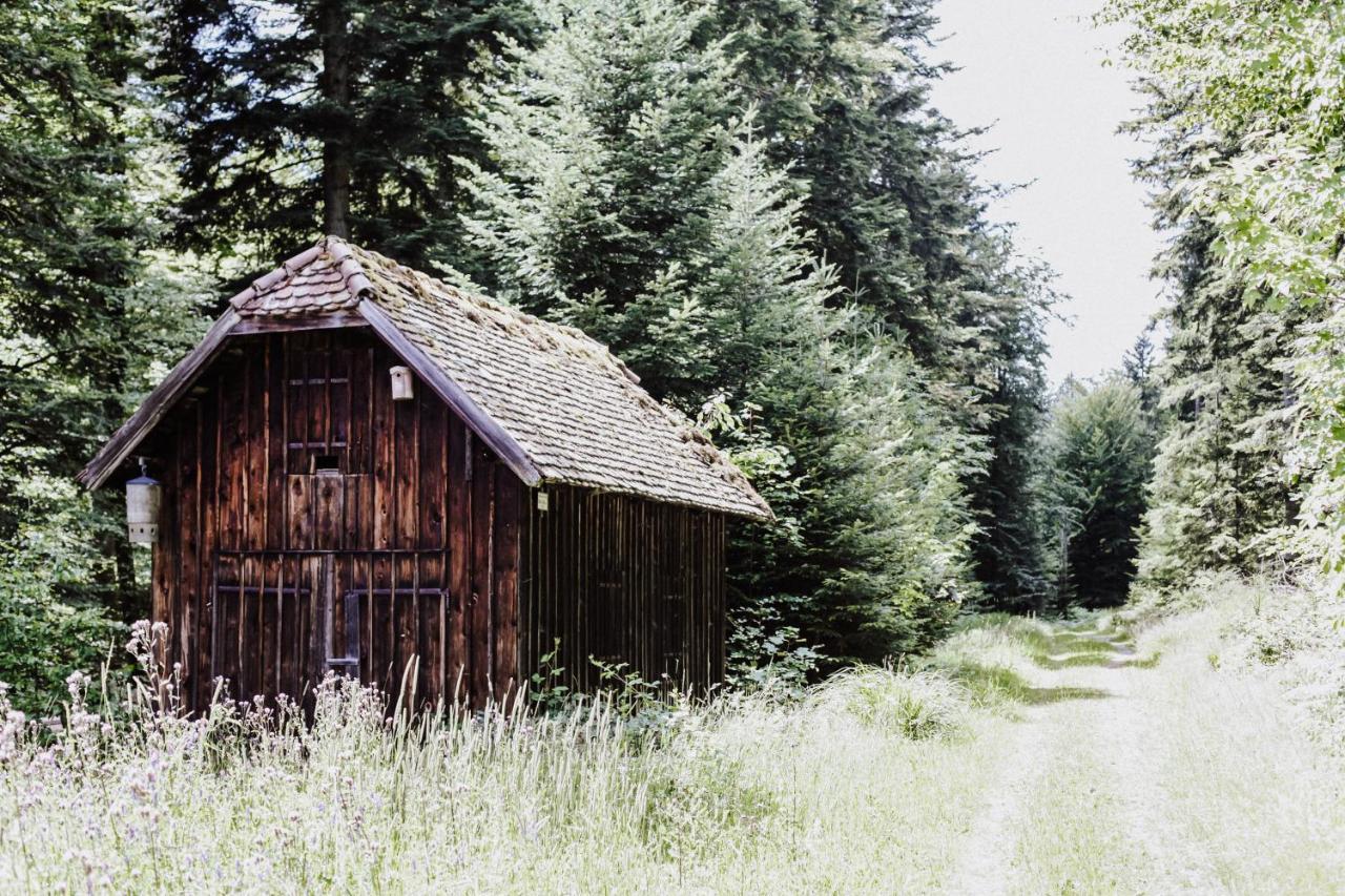 4-Zimmer-Ferienwohnung Waldbluemle Dobel Exterior foto